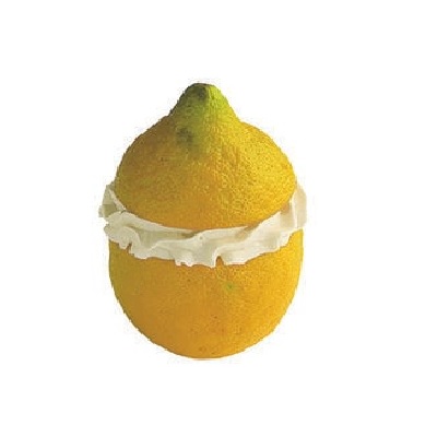 Frozen lemons limoni farciti di gelato al limone 10 x 90g monoportion
